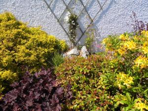 邓韦根Dunshee的相册照片