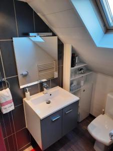 een badkamer met een wastafel en een toilet bij Studio neuf côté campagne agréable à vivre. in Braine-le-Comte