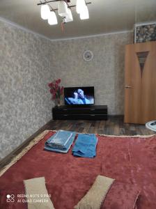 ペトロザヴォーツクにあるApartment on Krasnoflotskaya 34のリビングルーム(テレビ、赤い敷物付)