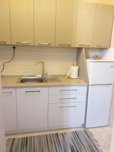 Kuchyň nebo kuchyňský kout v ubytování Friendly Apartment