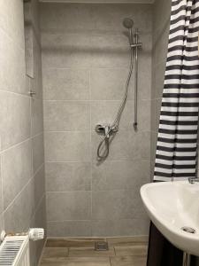 y baño con ducha y lavamanos. en Modernes Apartment Nr2 nahe Reeperbahn bis 4 Personen, en Hamburgo