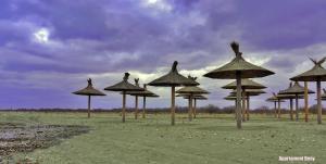 a group of straw umbrellas on a field at Apartament Deny in Sulina