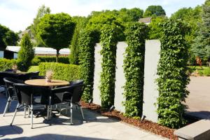 Zahrada ubytování Hotel Kickert