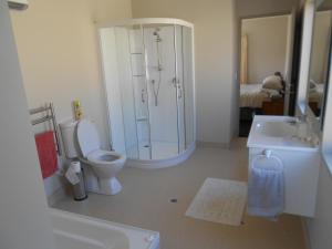 a bathroom with a shower and a toilet and a sink at Gavan Family Apartments in Cromwell