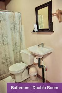 a bathroom with a toilet and a sink and a mirror at Blue Iguana in Sámara