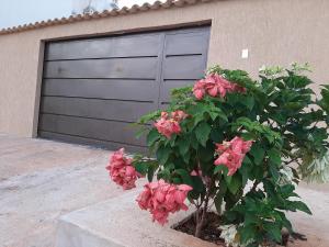 a garage door with a bush with pink flowers at Casa Limoeiro in Pirenópolis