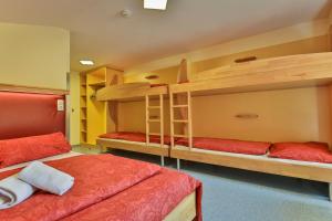 Fotografie z fotogalerie ubytování Jugendhotel Bachlehen und Johanneshof v destinaci Radstadt