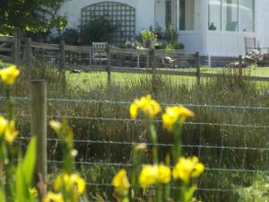 Gallery image of The Swallows Guest House in New Quay