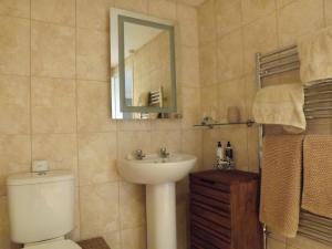 bagno con servizi igienici, lavandino e specchio di The Swallows Guest House a New Quay