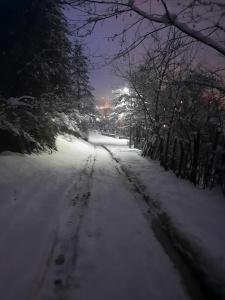 une route enneigée avec des empreintes de pied dans la neige dans l'établissement Villa Jasikovac, à Berane