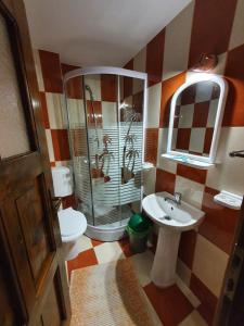 a bathroom with a shower and a sink and a toilet at Casa Cerbu in Arieşeni +21 photos