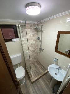 een badkamer met een douche, een toilet en een wastafel bij Hanul Ursilor in Chişcău