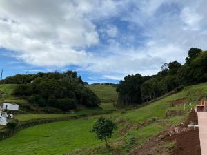 a green field with trees on a hill at Casa da Bisa - Santa Maria - Açores in Santa Bárbara