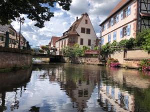 een rivier in het midden van een stad met gebouwen bij Appartement du Rhin in Neuhaeusel