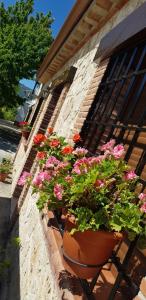 Ogród w obiekcie Alojamiento Rural Casa Inocente