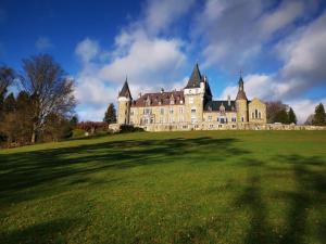 ein großes Schloss auf einem üppigen grünen Feld in der Unterkunft Castle Froidcour in Stoumont