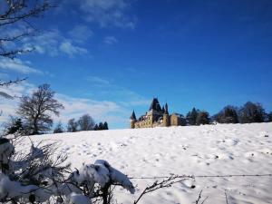 Castle Froidcour v zimě