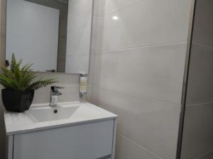 a bathroom with a sink and a potted plant at Apartment - Vista Alegre in Ponte de Lima