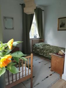 SvebølleMikrogaarden shared kitchen&bathroom的前景卧室,带一张床和植物 更多18张照片