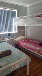 a bedroom with two bunk beds and a window at Green Meadow in Nowra