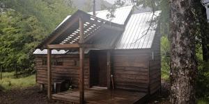 una casa en un árbol con techo en una terraza de madera en Lodge Palguin Alto, en Palguín