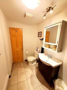 a bathroom with a toilet and a sink and a mirror at Maison Montplaisir in Montréal