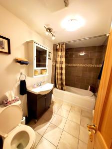 a bathroom with a toilet and a sink and a tub at Maison Montplaisir in Montreal