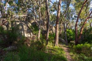 a trail leading to a forest filled with trees at Granite Belt Motel in Stanthorpe