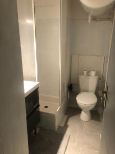 ein kleines Badezimmer mit Toilette und Waschbecken in der Unterkunft Studio au centre des 2 alpes in Les Deux Alpes