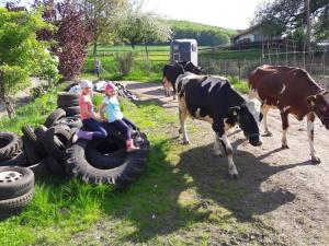 dos niños están montados en un neumático con vacas en Anitas Landerlebnis en Witzenhausen