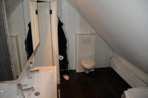 a small bathroom with a toilet and a sink at 't Geheim van de Molenaer in Kampen