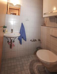 ein Bad mit einem WC und einem Waschbecken in der Unterkunft Appartement Else in Bad Kleinkirchheim