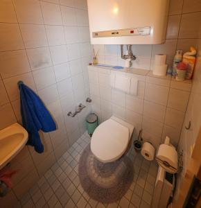 Koupelna v ubytování Appartement Else