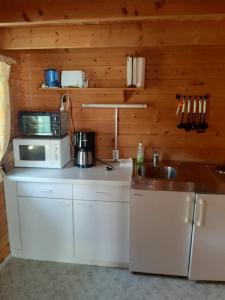 a kitchen with a microwave and a sink at Ferienhäuser Waldidyll in Canow