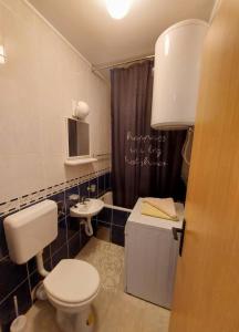 a bathroom with a toilet and a sink at Apartman Bregovi in Trebinje