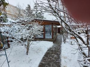 um edifício coberto de neve ao lado de uma árvore em Casa Mara em Breaza