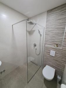 a bathroom with a glass shower with a toilet at ATOS Centar in Čelinac