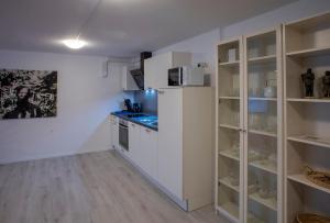 a kitchen with white cabinets and a refrigerator at Im Reuter FEWO2 in Sinsheim