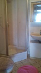 een badkamer met een douche en een wastafel bij Ferienwohnungen Langer in Kurort Altenberg