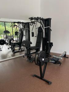 un gimnasio con varios equipos de ejercicio en una habitación en Resort Plaza Lake, en Rojiştea