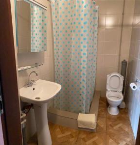 a bathroom with a sink and a toilet at Zelenyi Kampus in Odesa