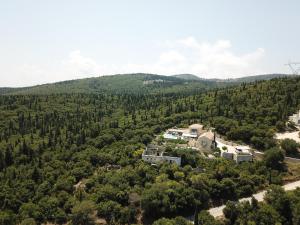 - une vue aérienne sur une maison dans la forêt dans l'établissement Villa Andromahi, à Fiskardho