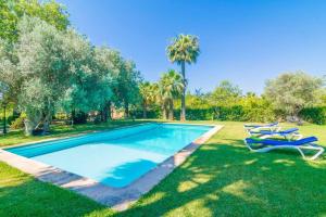 a swimming pool with two lounge chairs in the grass at Agroturismo Finca Son Amora in Palma de Mallorca