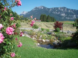 um jardim com flores cor-de-rosa e um riacho de água em Haus Jung - Chiemgau Karte em Inzell