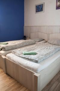 3 Betten in einem Zimmer mit einem grünen Objekt darauf in der Unterkunft Pura Vida in Zaječí