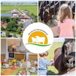 a collage of pictures of a child feeding a cow at Friesenhof Janssen - Urlaub auf dem Bauernhof in Neuharlingersiel