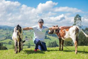 un hombre sentado en una colina con dos vacas en El Bosque de Paipa en Paipa