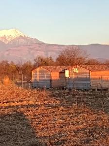 a barn in a field with a mountain in the background at Eco house in Akuaska in Ochamchira