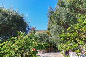 A garden outside Villa Natasha