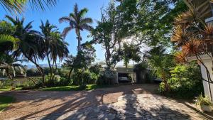 a driveway with palm trees in front of a house at Shaka's Seat Guesthouse - Check Out Our May Special! in Ballito